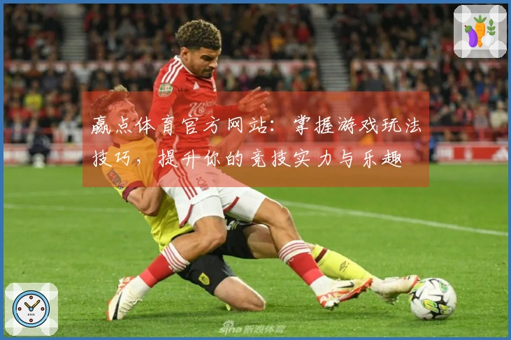 赢点体育官方网站：掌握游戏玩法技巧，提升你的竞技实力与乐趣