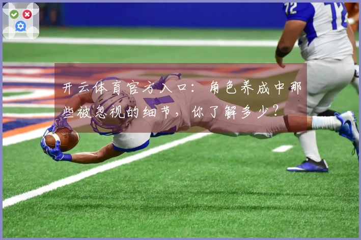 开云体育官方入口：角色养成中那些被忽视的细节，你了解多少？